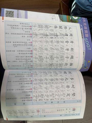 邱妮甄 - 作業輔導妥瑞氏症孩子 