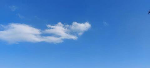 提供嘉義英文服務的專家馬立恩