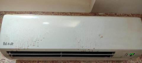 樂樂家事服務工作室 - 