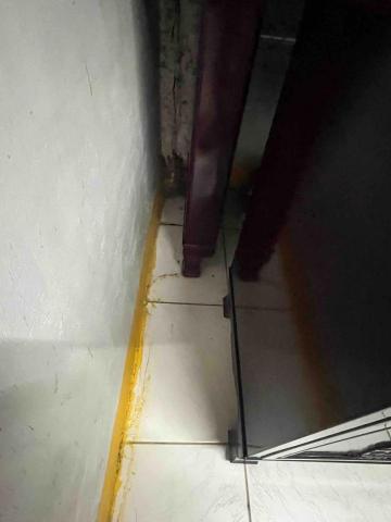 林詩叡 - 角落生物 清完無誤