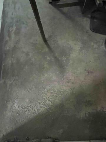 林詩叡 - 塵土堆積如沙 也掃蕩至寥寥無幾