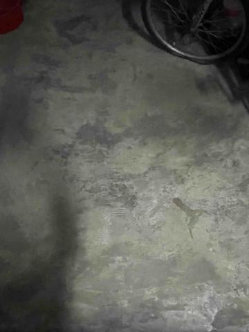 林詩叡 - 位處水泥地走道(房子總坪數約為35坪)