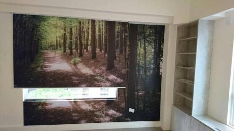 鄭敏辰 - 室內情景