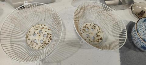 樂樂家事服務工作室 - 