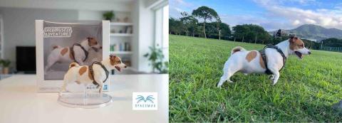 宏楊科技 - AI生成 宏楊科技 - AI生成