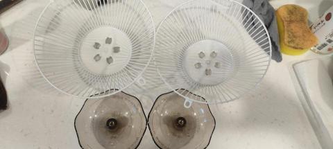 樂樂家事服務工作室 - 