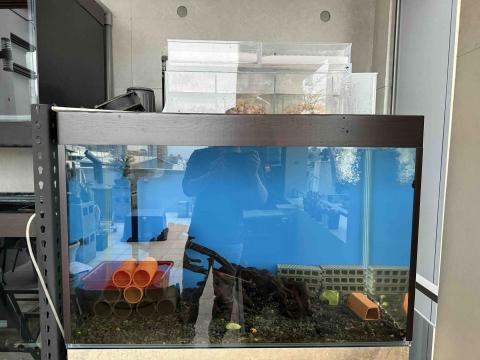 ElliotWu - 施工後