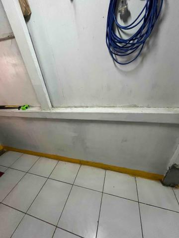 林詩叡 - 灰塵、蜘蛛絲 也一掃而空