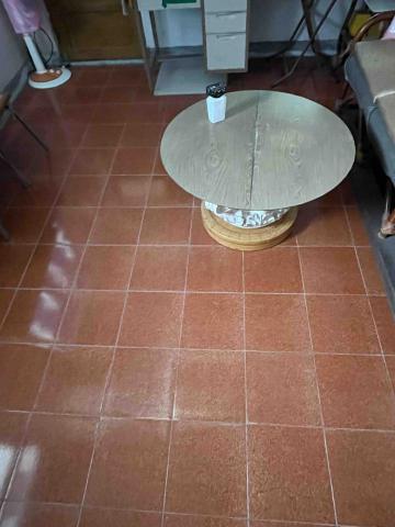 林詩叡 - 特殊地板（復古紅瓷磚）