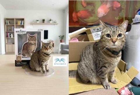 宏楊科技 - AI生成 宏楊科技 - AI生成