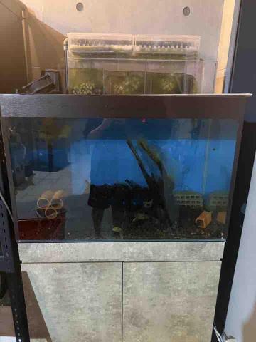 ElliotWu - 施工前