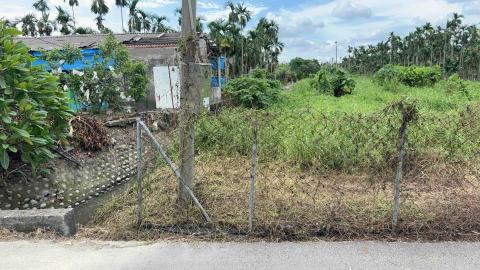 牧羊山花園工作室 - 殺草劑施工後