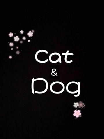 提供寄養貓服務的專家陳冬瓜