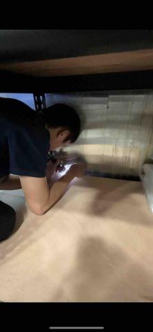 亞領環境 - 蟑螂防治