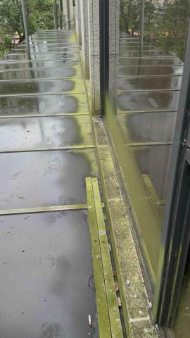 潔勝清潔企業社 - 