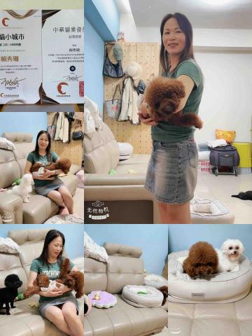 賴秀珊 - 居家寄宿-Kimi和小乖 賴秀珊 - 居家寄宿-Kimi和小乖