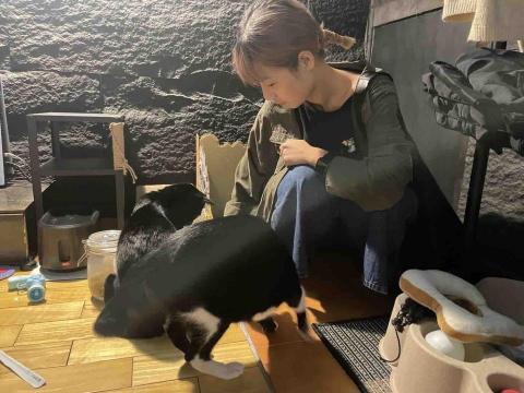 我是一隻貓貓，我叫婉君 - 我的員工和兩個客戶