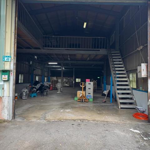 提供寄養犬服務的專家林錦鴻