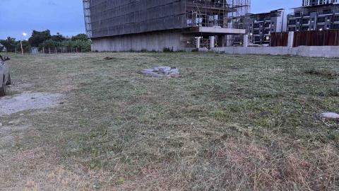 牧羊山花園工作室 - 檢舉案場_割草施工後