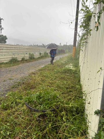 牧羊山花園工作室 - 雨中施工中