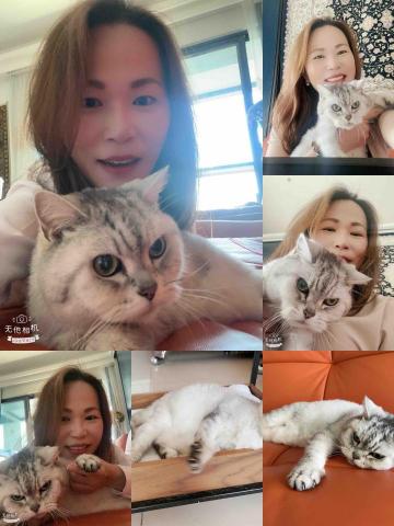 賴秀珊 - 居家到府服務(陪玩、清理環境、餵食)-咪醬 賴秀珊 - 居家到府服務(陪玩、清理環境、餵食)-咪醬