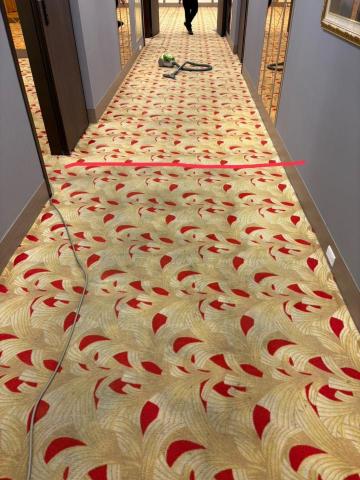 大清實業有限公司 - 地毯清潔-前後對照圖