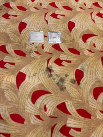 大清實業有限公司 - 地毯清潔-前