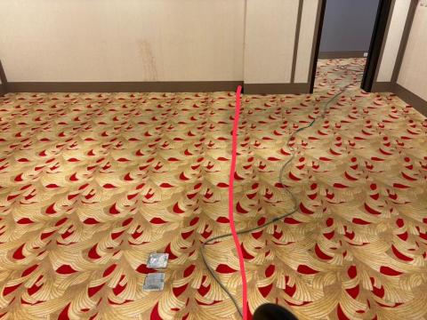 大清實業有限公司 - 地毯清潔-前後對照圖