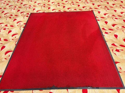 大清實業有限公司 - 地毯清潔-後