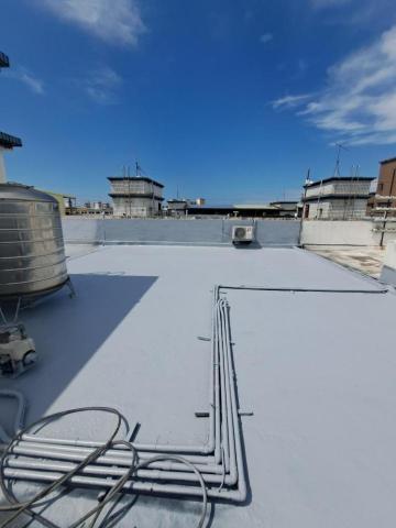 辛鴻榮 - 屋頂防水