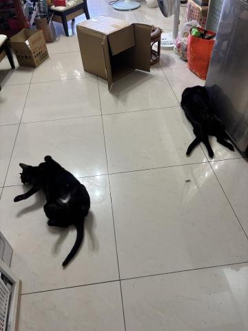 宜靜 - 耍廢時間