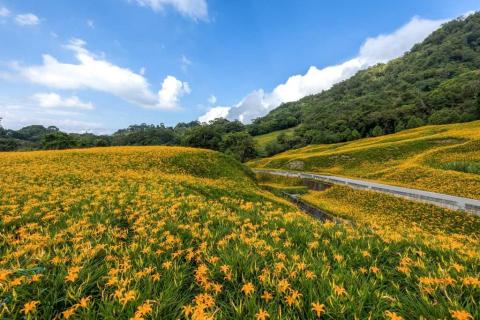 查爾斯 旅遊包車 機場接送 -  