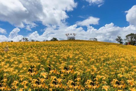 查爾斯 旅遊包車 機場接送 -  