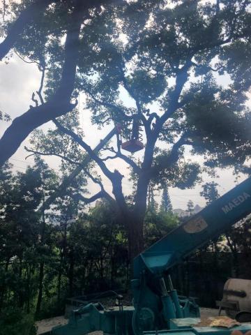 于森園藝企業社 （林先生） - 