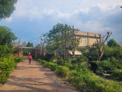 于森園藝企業社 （林先生） - 