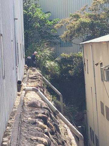 于森園藝企業社 （林先生） - 垂直山壁除草