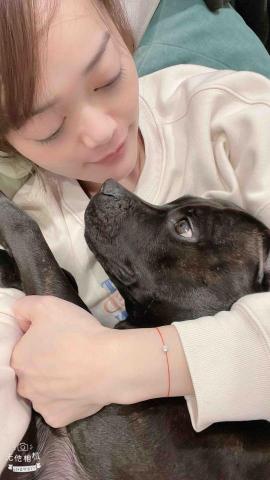 提供刻印章豐原服務的專家Xianglin