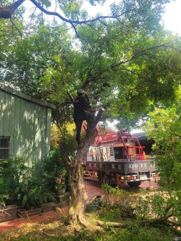 于森園藝企業社 （林先生） - 