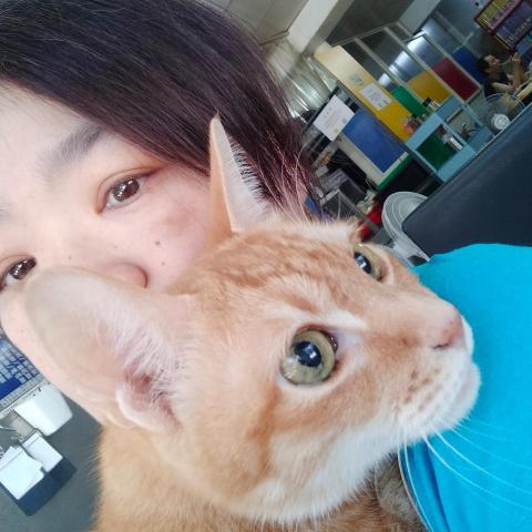 姚慧寧 姚慧寧