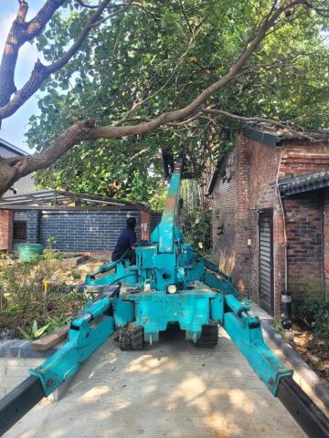 于森園藝企業社 （林先生） - 蜘蛛車樹木矮化