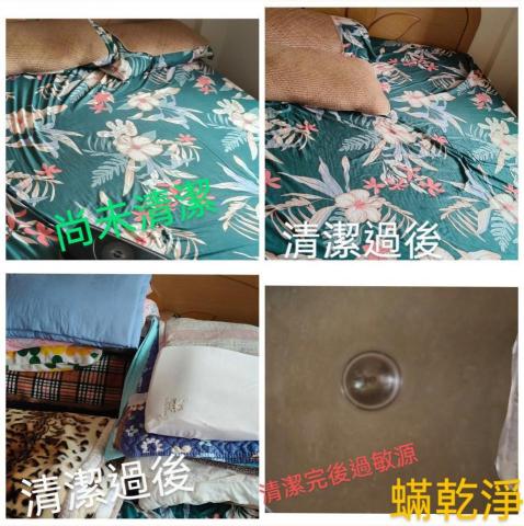 蟎乾淨-國際過敏認證有效移除過敏源 - 