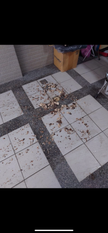 和成衛生工程行 - 住家因管內皂化物堆積 造成阻塞，立即實施水刀疏通並提供保固