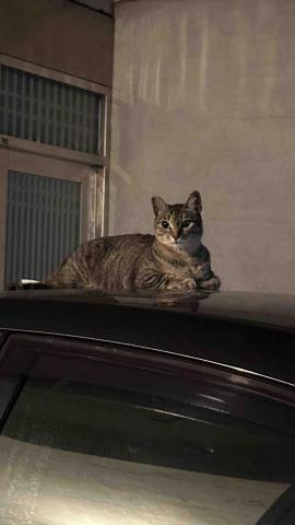 提供27服務的專家邱董