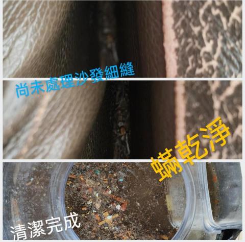 蟎乾淨-國際過敏認證有效移除過敏源 - 