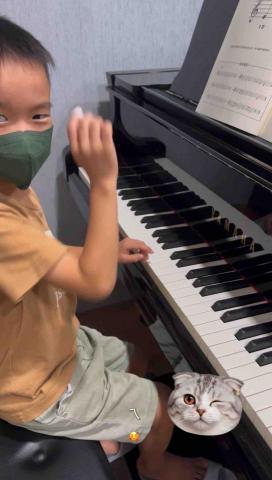 🎵 Musical鋼琴烏克麗麗工作室|預約制 -  🎵 Musical鋼琴烏克麗麗工作室|預約制 -