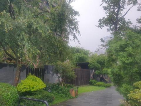 明園景觀工程 - 樹木養護工程