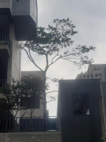 明園景觀工程 - 