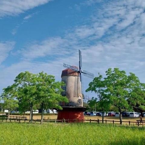 提供過年背景服務的專家Ting