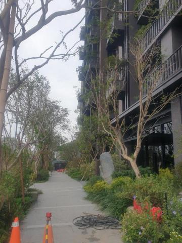 明園景觀工程 - 養護工程