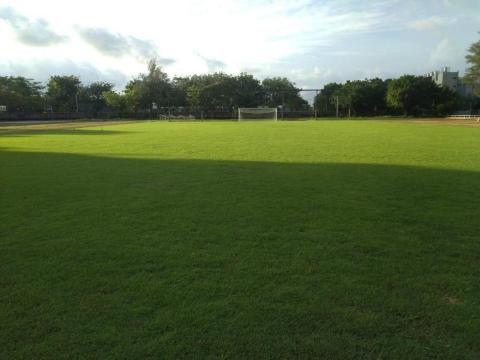 草博士，（可加賴） - 北門高中剪草養護